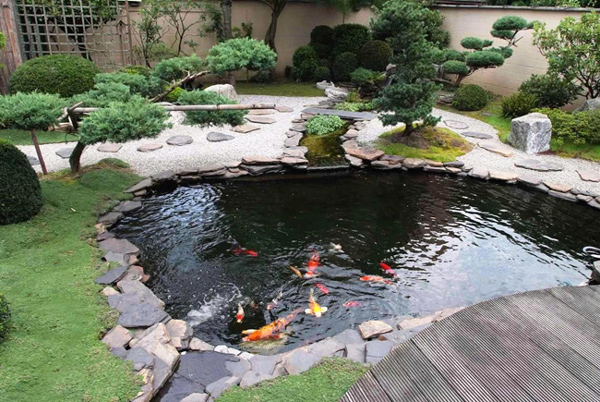 Phương pháp chống thấm hồ cá Koi