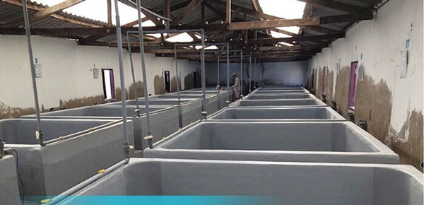 Phương pháp bọc phủ composite trên bề mặt bằng kim loại