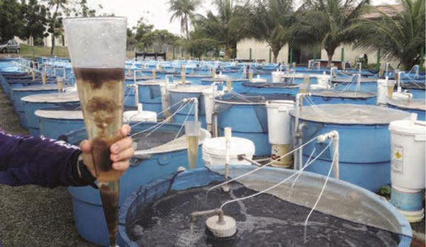 Tại sao bể composite được sử dụng để nuôi thủy hải sản