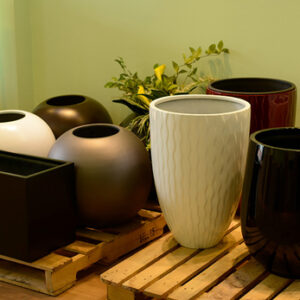 So sánh chậu gốm sứ và chậu composite